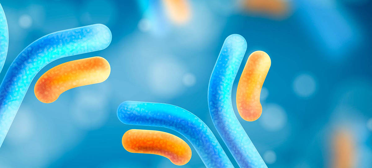 2DO CUATRIMESTRE 2024 - Curso de Actualización en Alergia, Asma e Inmunología